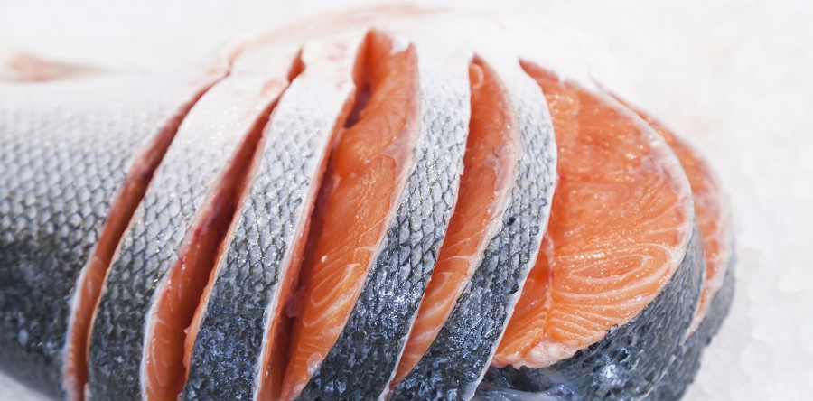 In faucibus orci luctus